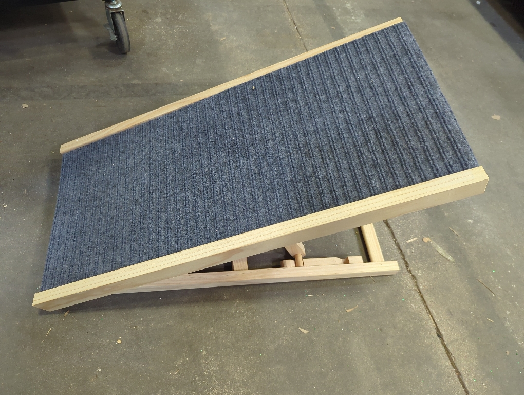 Small Gray Dog Ramp