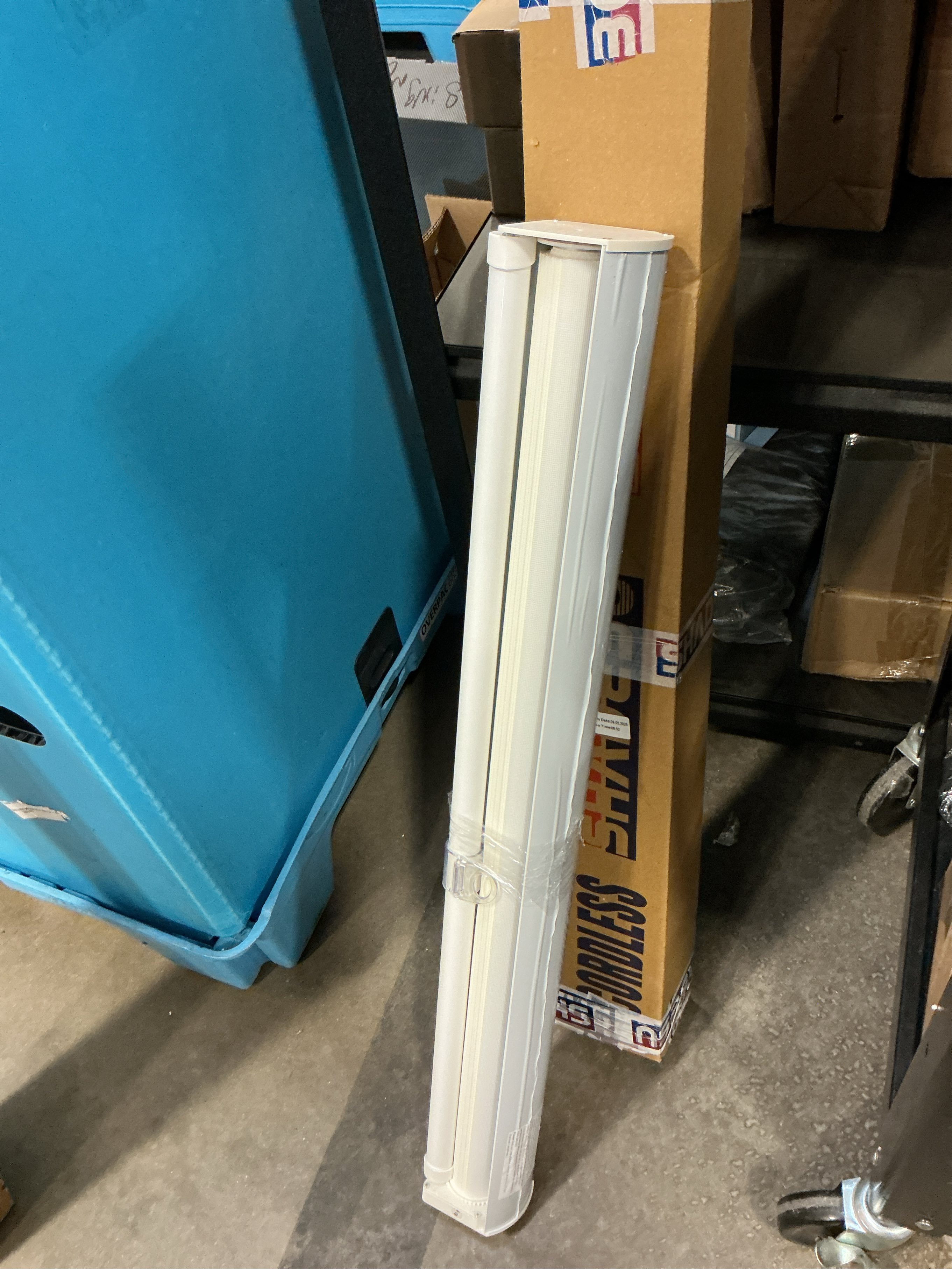 Shadesu Cordless Zebra Blinds for Windows, 31 W x 72 H, White, Dual Layer Free-Stop Zebra Shades, Light Control for Day and Night, Sheer Blinds for Indoor Windows, Bedroom, Kitchen