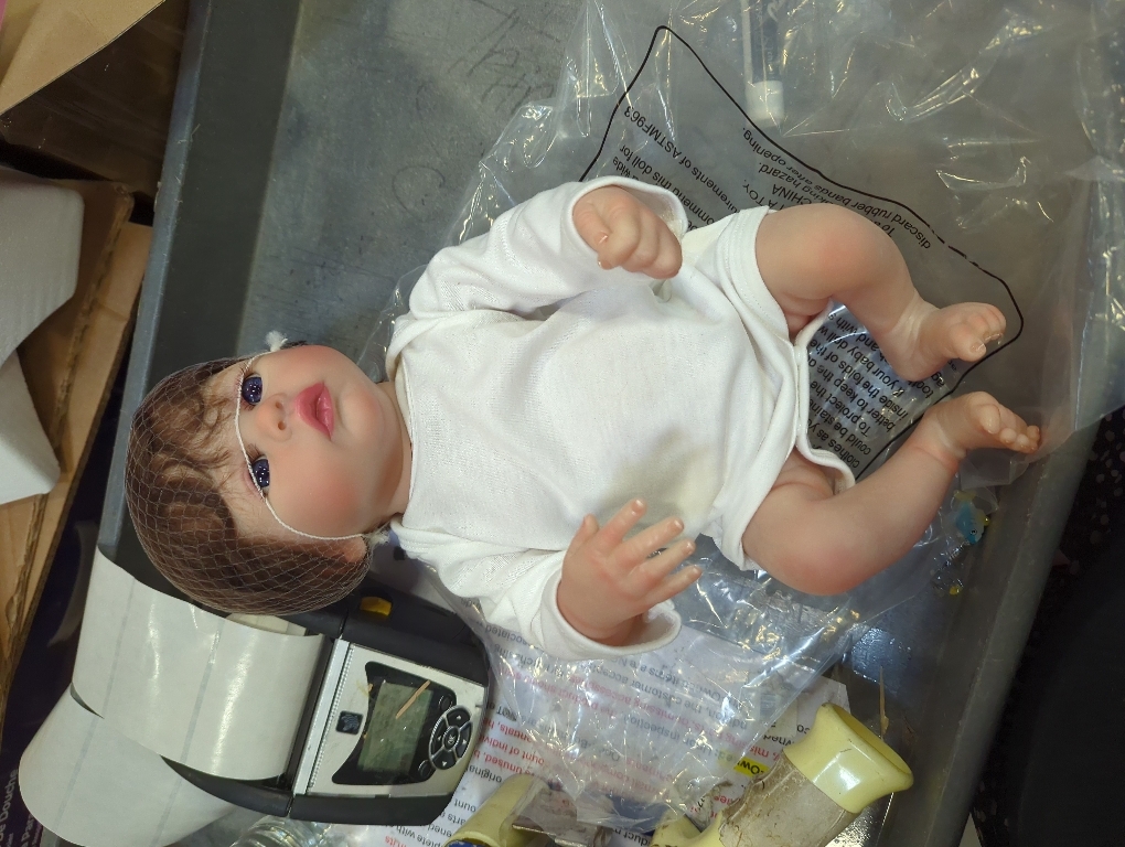 Kaydora Realistic Reborn Baby Doll - 18 Inch Doll Girl with Full Vinyl Body