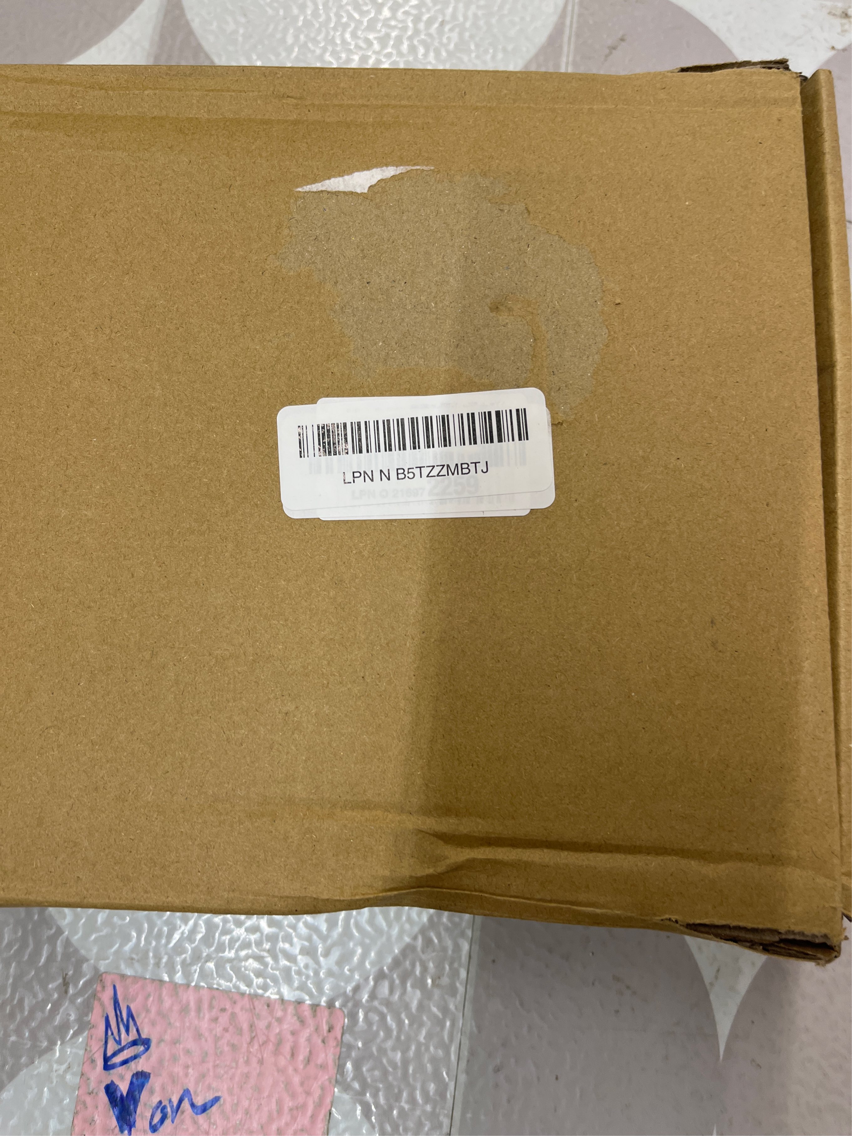 https://s3.us-central-1.wasabisys.com/manyfastscan-photos/946af6ab-1cd1-4373-b0dd-79497a85e0d9.jpg