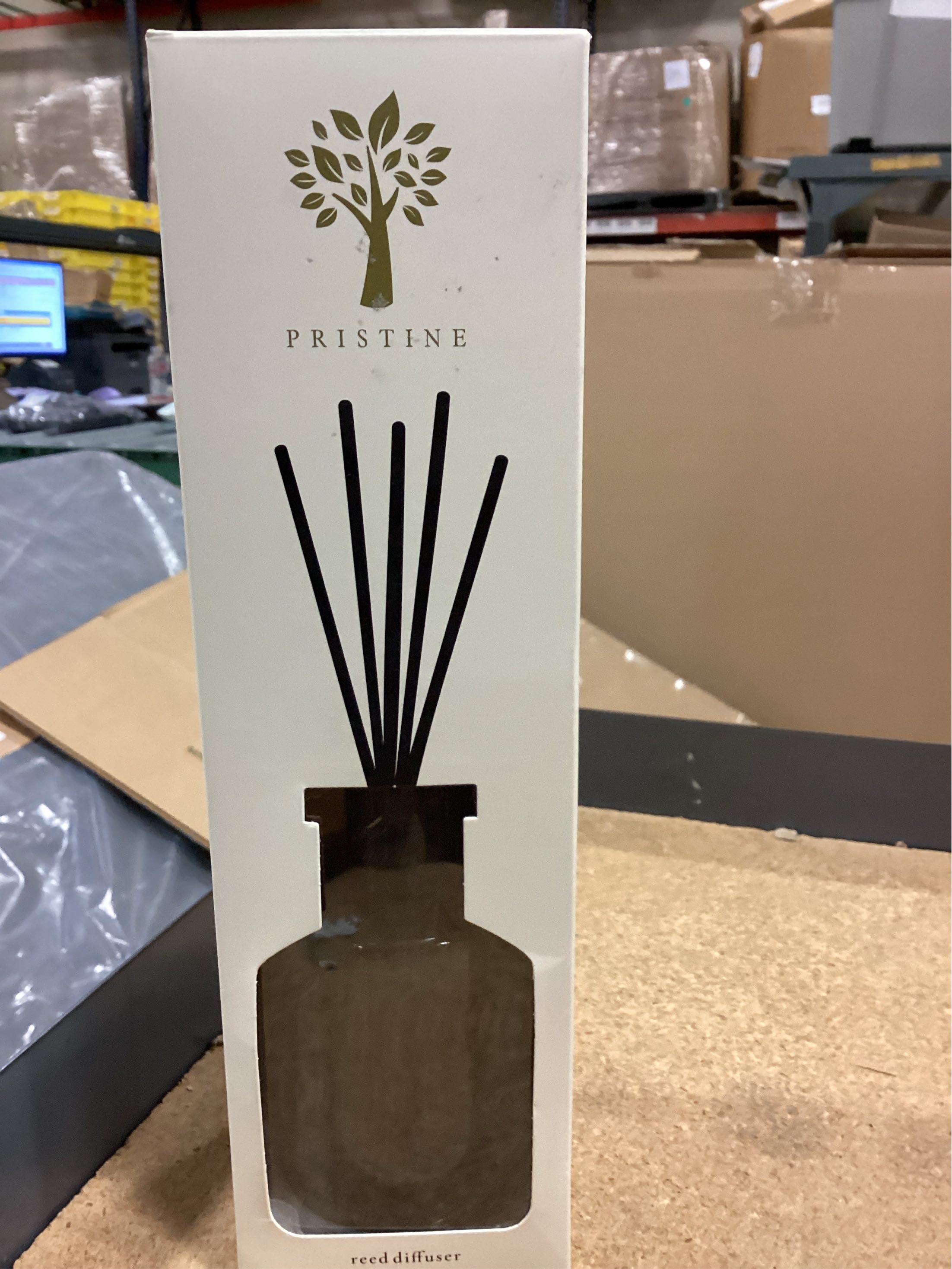 pristine campanula blossom