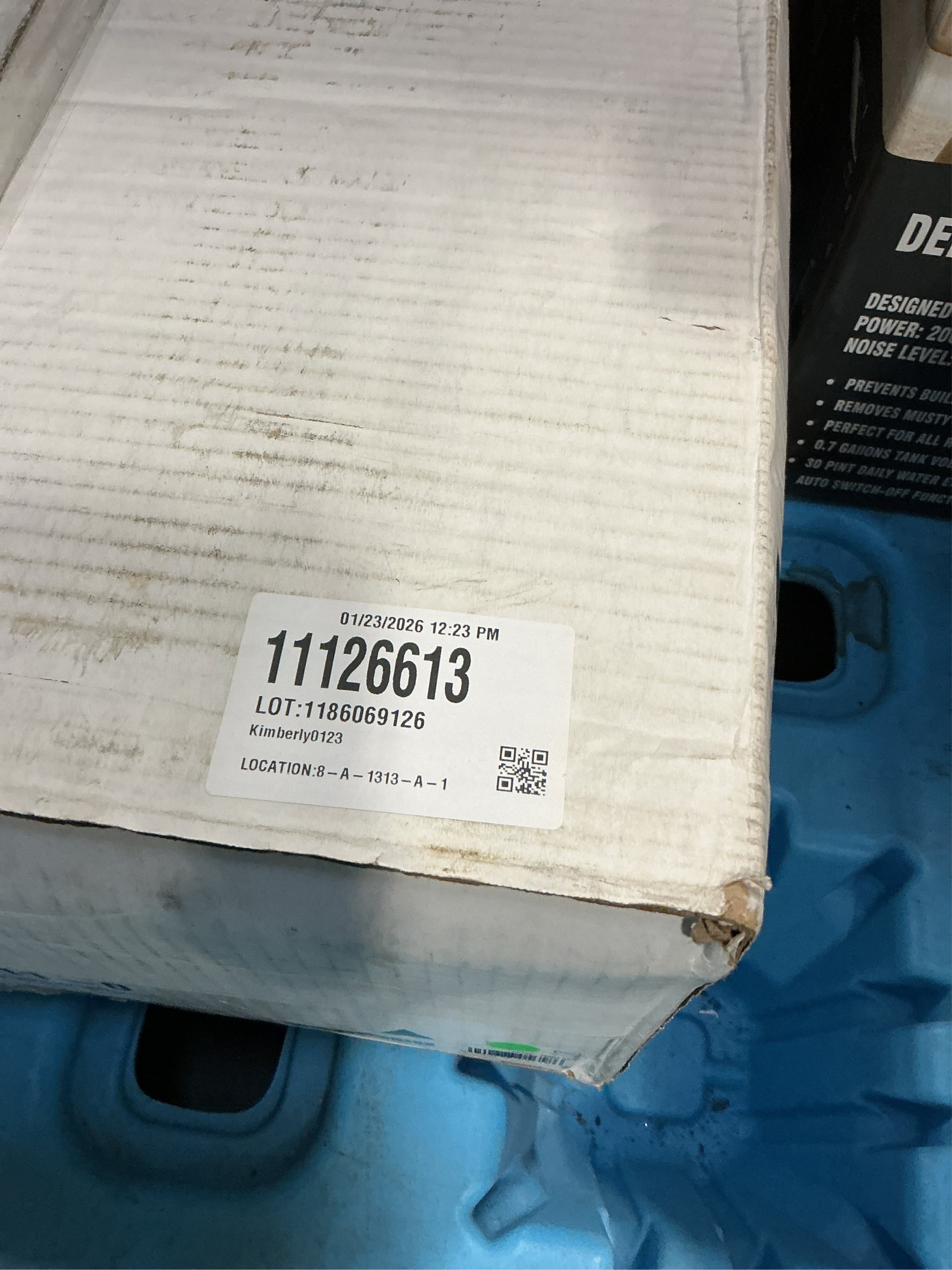 KOHLER Caxton Vitreous china Undermount Oval Traditional White Bathroom Sink ( 21.25-in x 17.25-in )