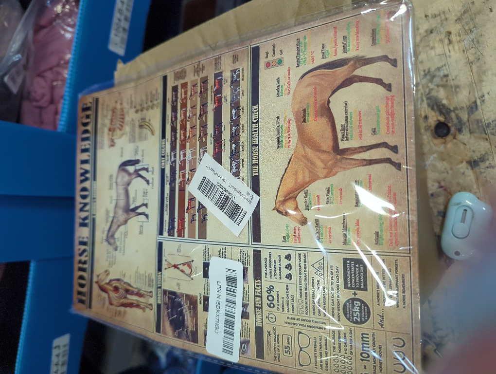 Horse Knowledge Metal Tin Sign A Horse'S Anatony Funny Poster Club Living Room Kitchen Bathroom Room Home Art Wall Decorated Plaque Gift