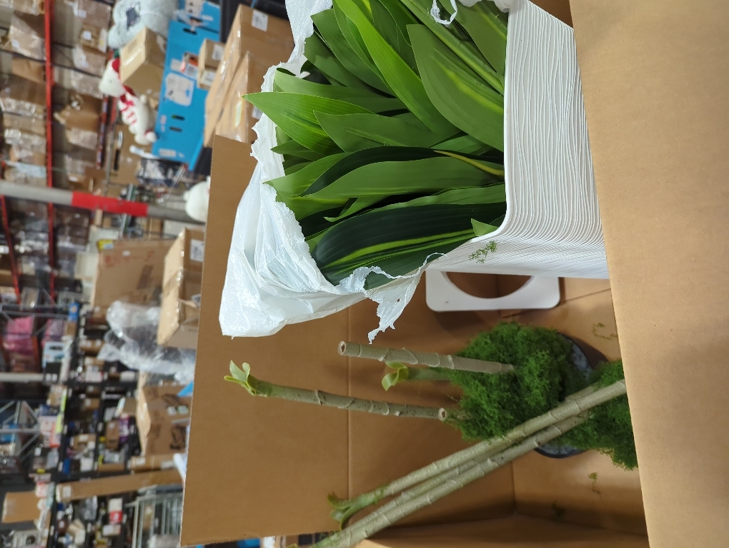 VeriNatural 5FT Artificial Dracaena Tree - UV Resistant Faux Tropical Plant, Potted Fake Tree with Taper Planter & Pebbles - Indoor Outdoor Greenery for Home, Porch, Living Room, Bedroom Decor, VN127