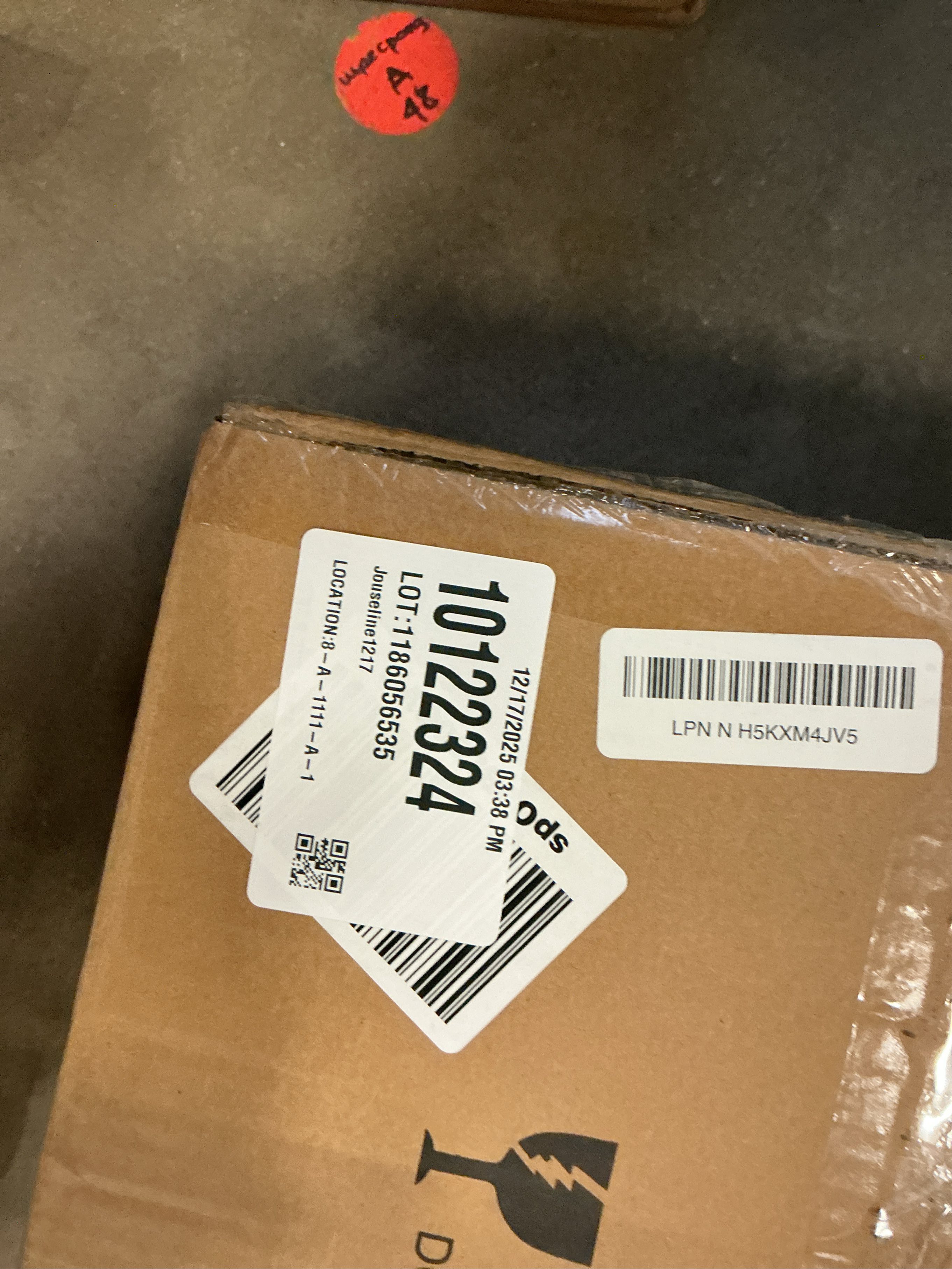 DESIGNERS FOUNTAIN Flush Mount Ceiling Light, 2-Pack, 13 Inch LED Frosted Glass Lighting Fixture for Kitchen, Bedroom, Bathroom, and Hallway, Brushed Nickel, D333M-13FM-BN2