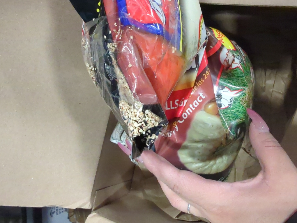 BioAdvanced 24-Hour Grub Plus for Lawns, Ant, Tick, Insect Killer Outdoor, 10-Pounds, Ready-to-Spread Granules, Standard Bag