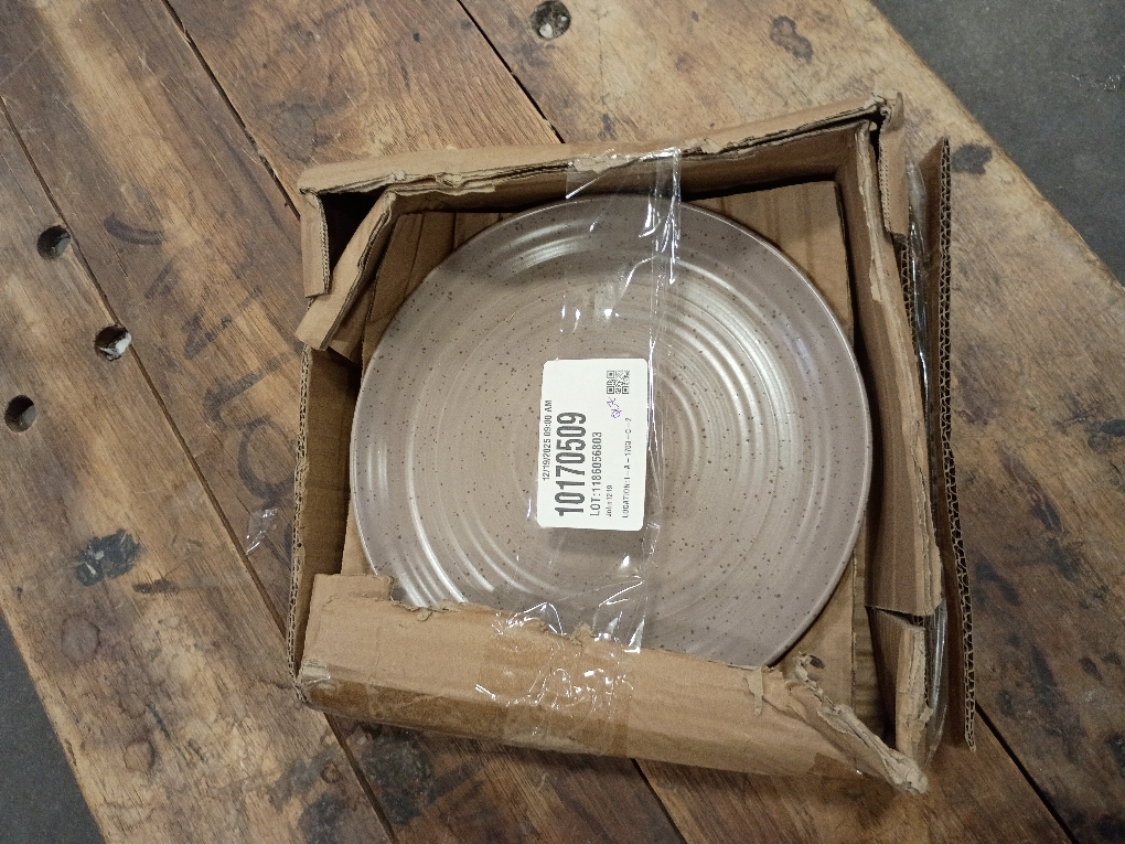 Earth Dinner Plate, 9.75 Round 10.00x10.00x1.00IN Plate for Main Dish, Entree, Steak, Pasta, Dining, Dinnerware, Tableware, Chip Resistant, Microwave Safe