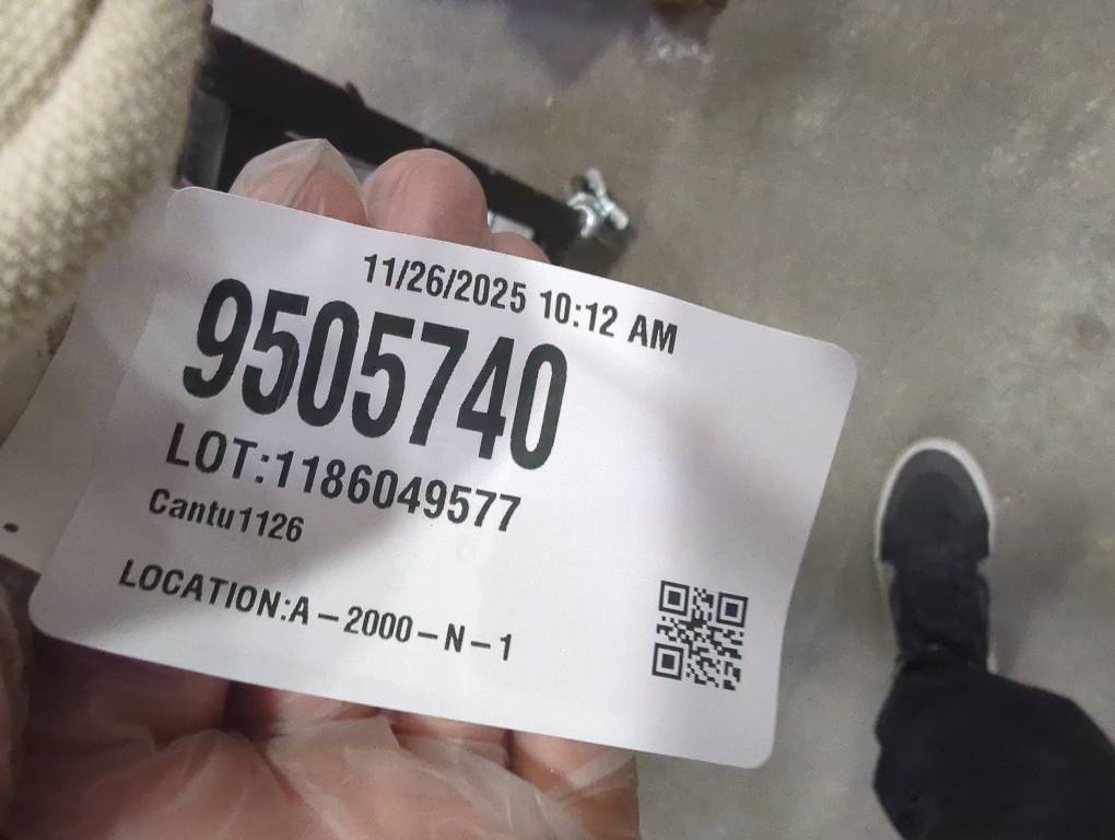 Ellen DeGeneres Loloi Beige Animal Pattern Pillow