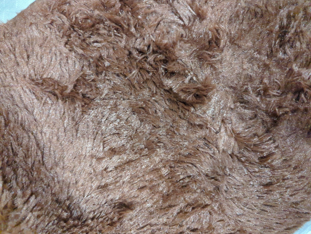 Tepook Super Soft Fluffy Rugs for Living Room, Shag 6x9 Area Rugs for Bedroom, Modern Shaggy Rug Fuzzy Carpets for Kids, Plush Indoor Nursery Home Decor Rug with Non-Slip Bottom, Brown