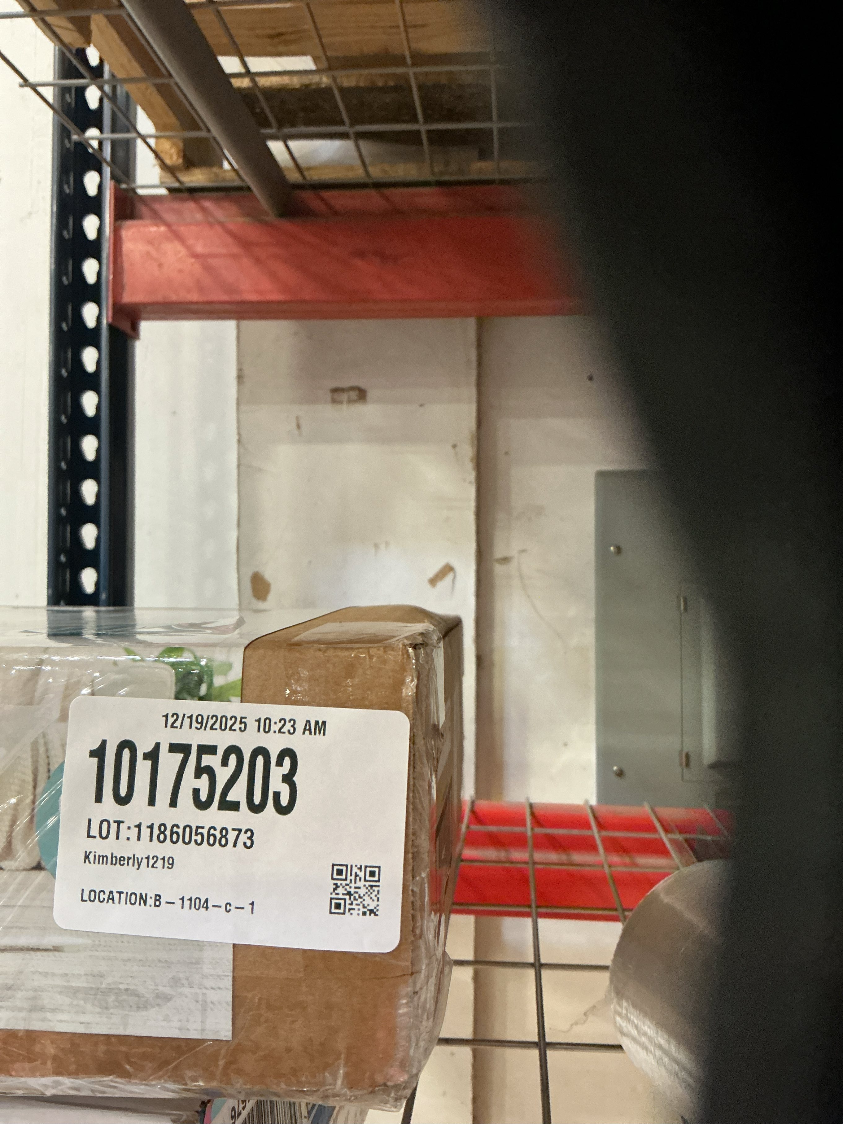 Baby Delight Alpine Deluxe Portable Bouncer