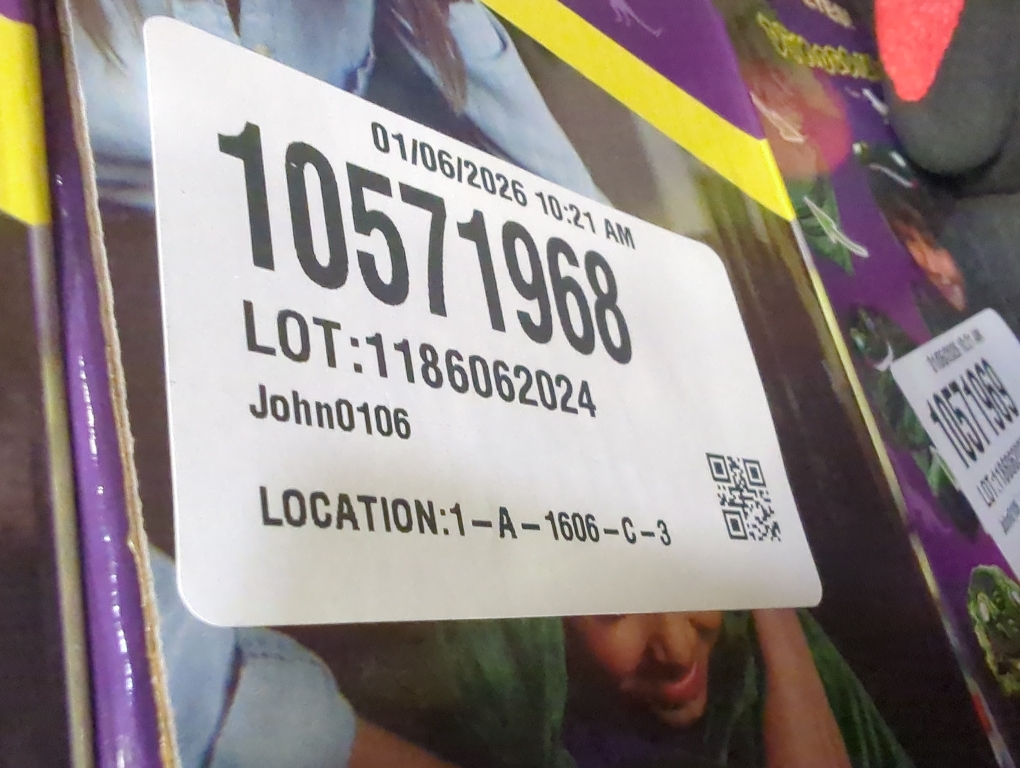 Bright Eyes Blanket LED Dinosaur  Master Case 2022