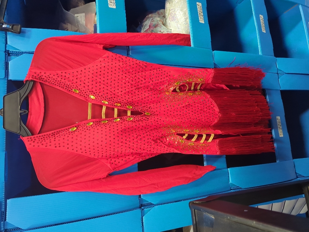 Size M Fringe Latin Dance Dresses for Women Competition Cha Cha Tango Costume Long Sleeve Ballroom Performance Dancewear