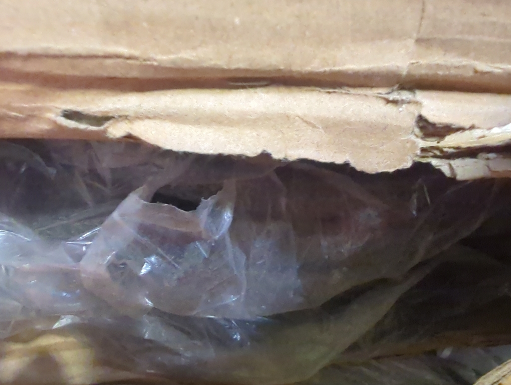 Set of 4 XPRT Olympic Rubber Coated Cast Iron Grip Plates – 2” Weight Plates for Home & Gym Strength Training