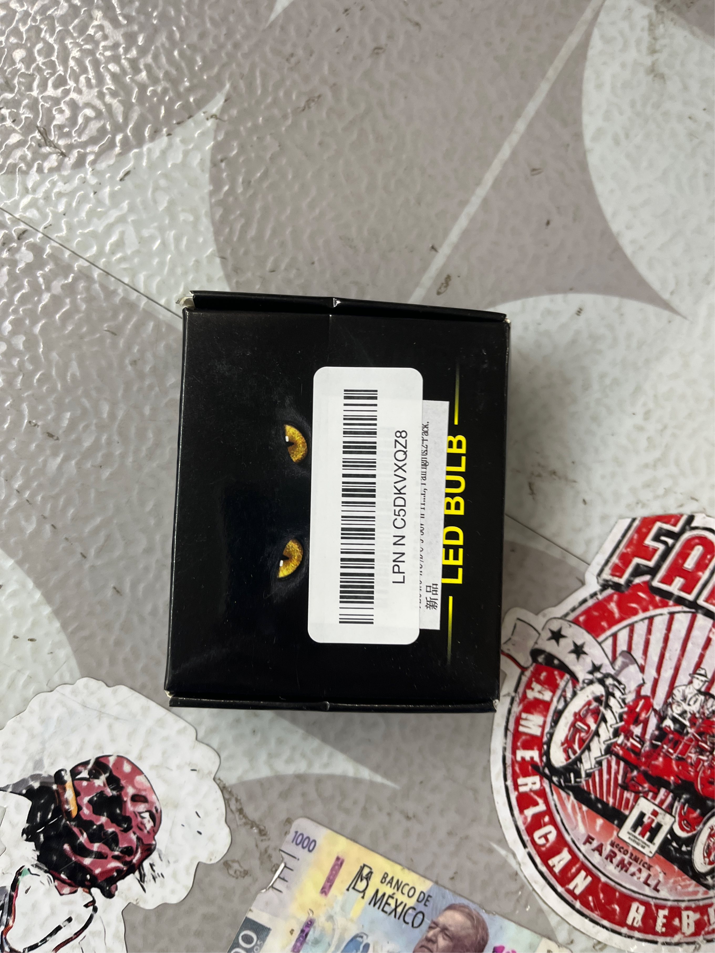 https://s3.us-central-1.wasabisys.com/manyfastscan-photos/a507d9b6-2439-4bd5-a32d-9f9e076db527.jpg
