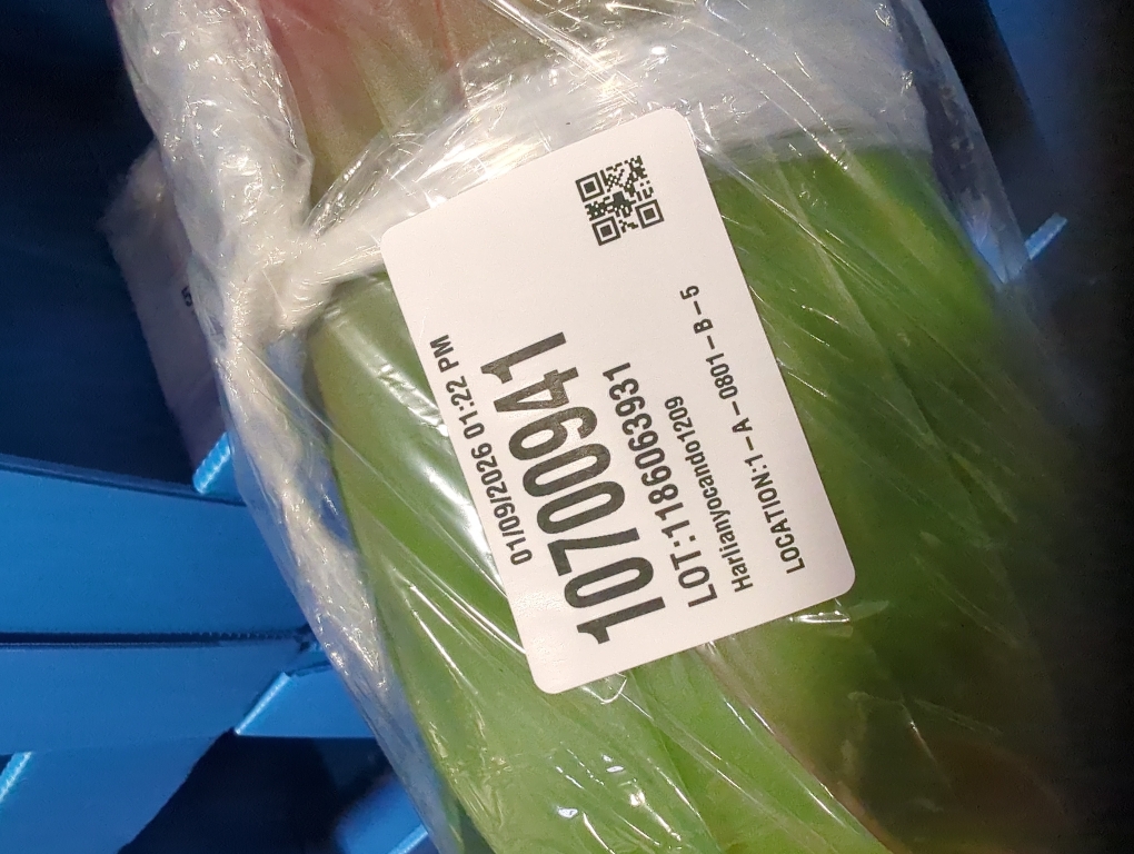 28 Large Artificial Red Green Agave, Summer Realistic Agave Plants for Home Indoor and Outdoor Decor(REG Green)