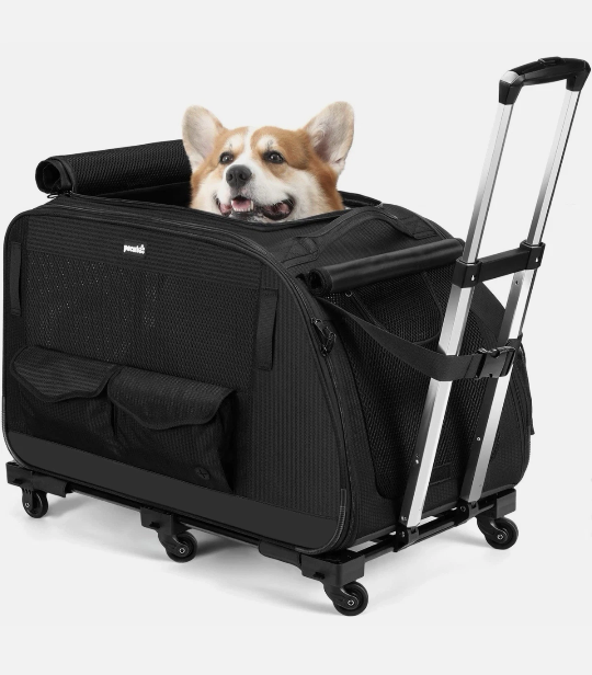 Pecute Pet Stroller for Short Legged Dogs Dog Carrier with Wheels