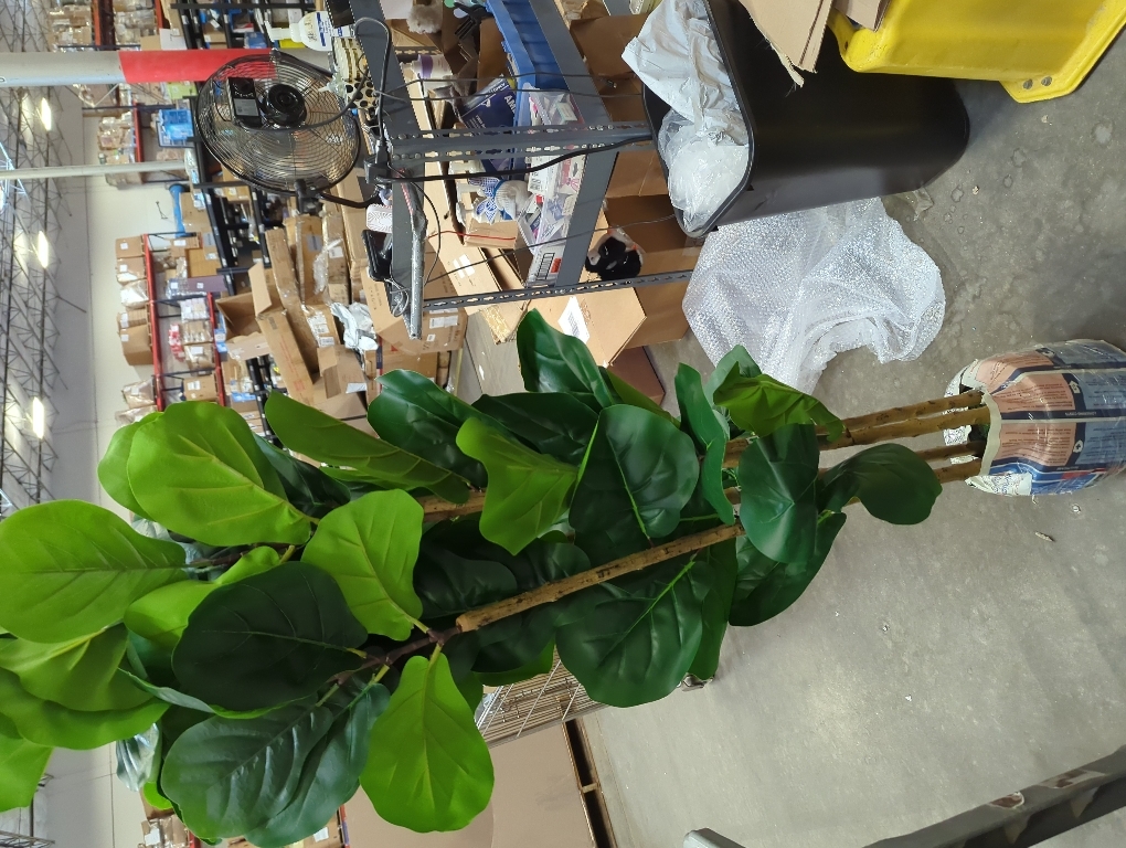 Artificial Fiddle Leaf Fig Tree in Modern White Planter, 5ft