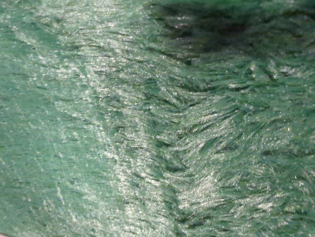 OLANLY Area Rugs for Living Room Bedroom, Machine Washable 4x5.9 ft Soft Fluffy Shaggy Bedside Rug, Indoor Floor Carpet for Kids Girls and Boys, Dorms, Nursery Rooms, Home Decor Aesthetic, Dark Green