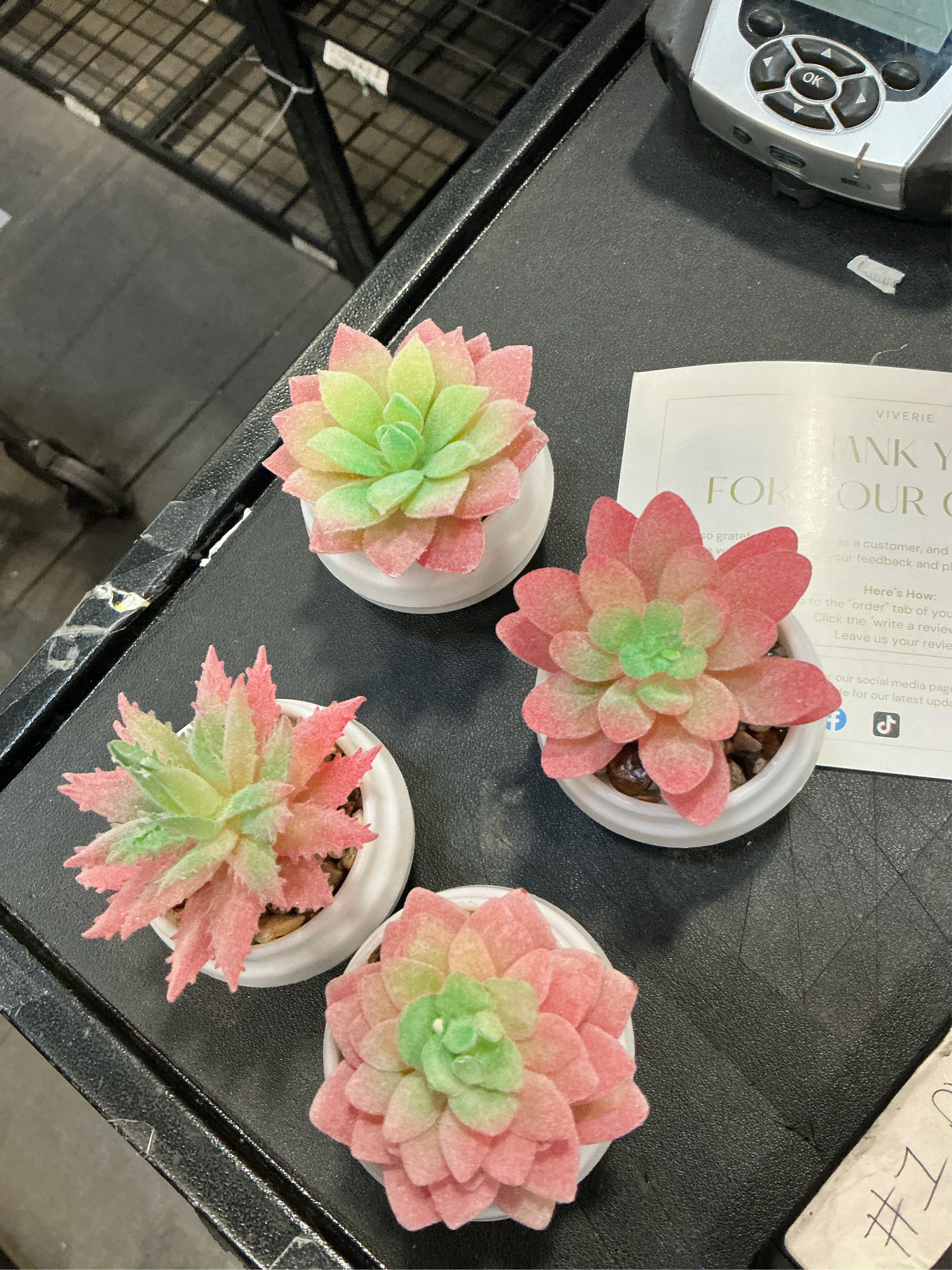 VIVERIE 4Pcs Pink Green Artificial Succulents in Pots (Plastic)- Small Artificial Plants