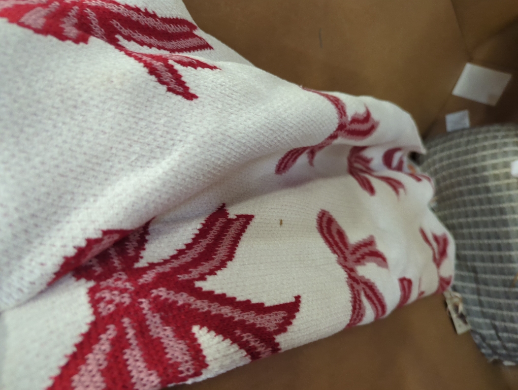 Rachel Zoe Oversized Decorative Throw 50 x 70 Red Bow