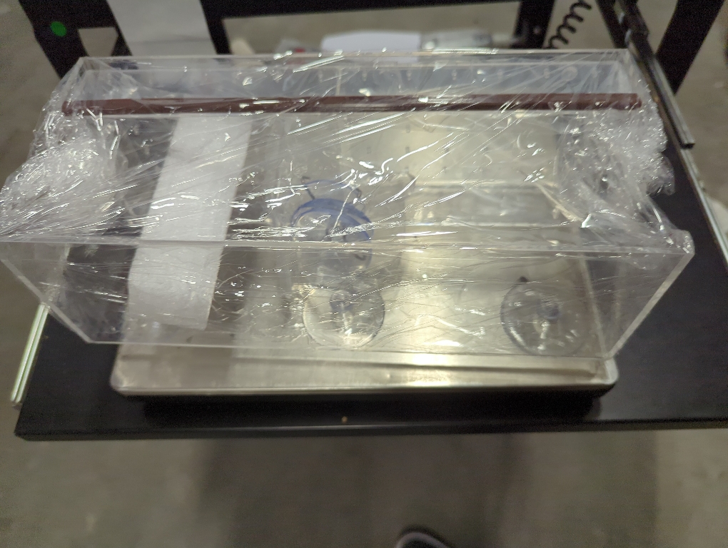 Window Bird Feeder by Nature's Hangout - Award-Winning Transparent Acrylic Bird Feeders for Outdoors, No Assembly, Strongest Suction Cups, Birds Watching for Cats, Easy-to-Clean Birdhouse Feeder