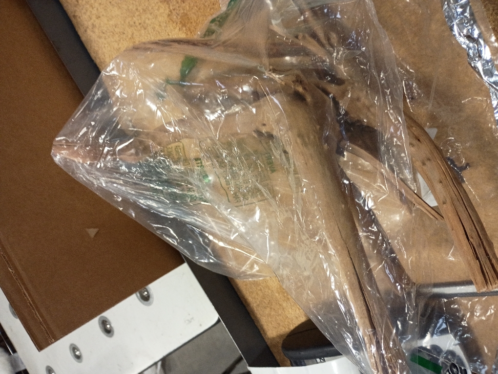 majoywoo Natural Large Driftwood for Aquarium Decor Reptile Decor, Assorted Spider Wood Branch 13-17 Long, Fish Tank Decoration