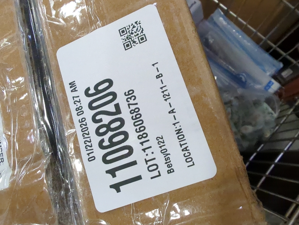 Toilet Safety Rails (300 LB) – Adjustable, Foldable Toilet Handle Frame for Elderly & Disabled Adults, Supports All Toilet Types