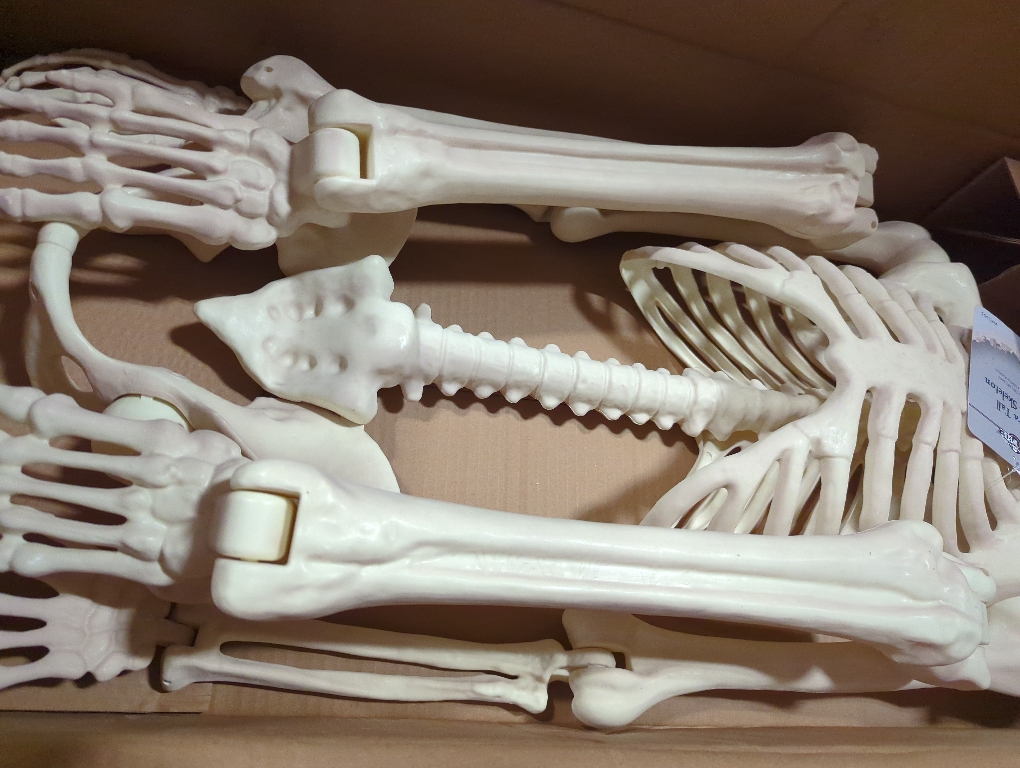 Crazy Bonez Pose-N-Stay Halloween Skeleton, 6 FT – Life-Size, Realistic, Fully Poseable Indoor & Outdoor Decoration, Durable Weather-Resistant Spooky Prop for Yard, Porch, Haunted House