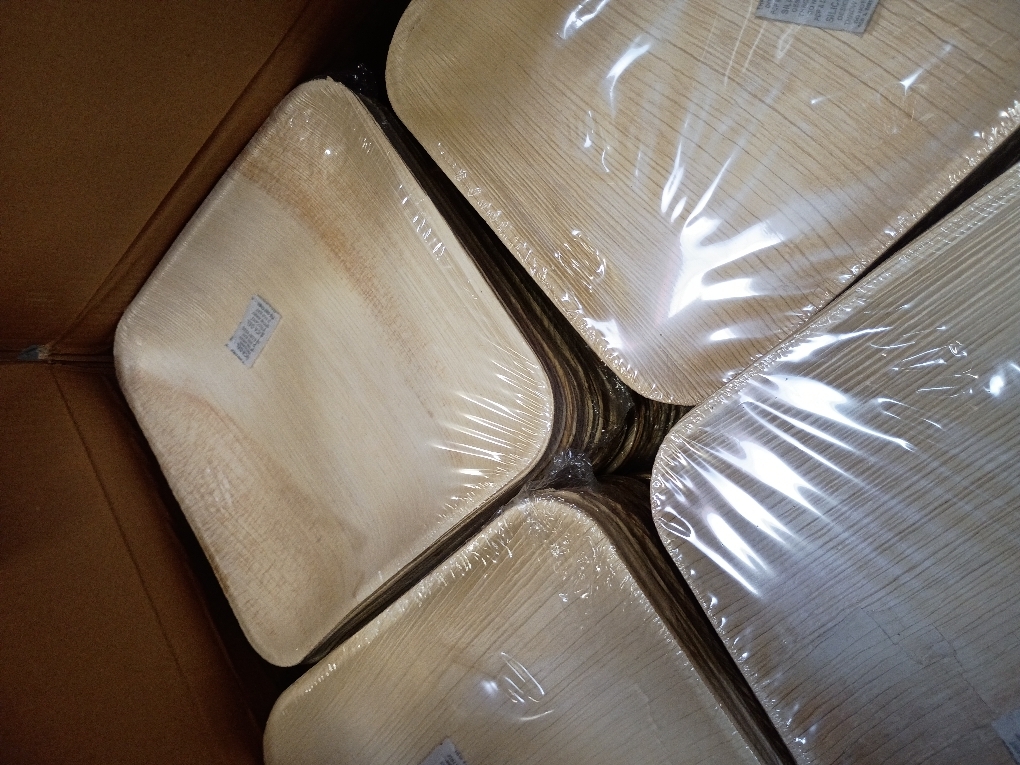 Eco Craft Stix 10 inch Square Palm Leaf Plates. Eco Friendly Dinnerware. Pack of 80  Plates. Eco-Friendly and Compostable Palm Plates. Sturdy and Durable