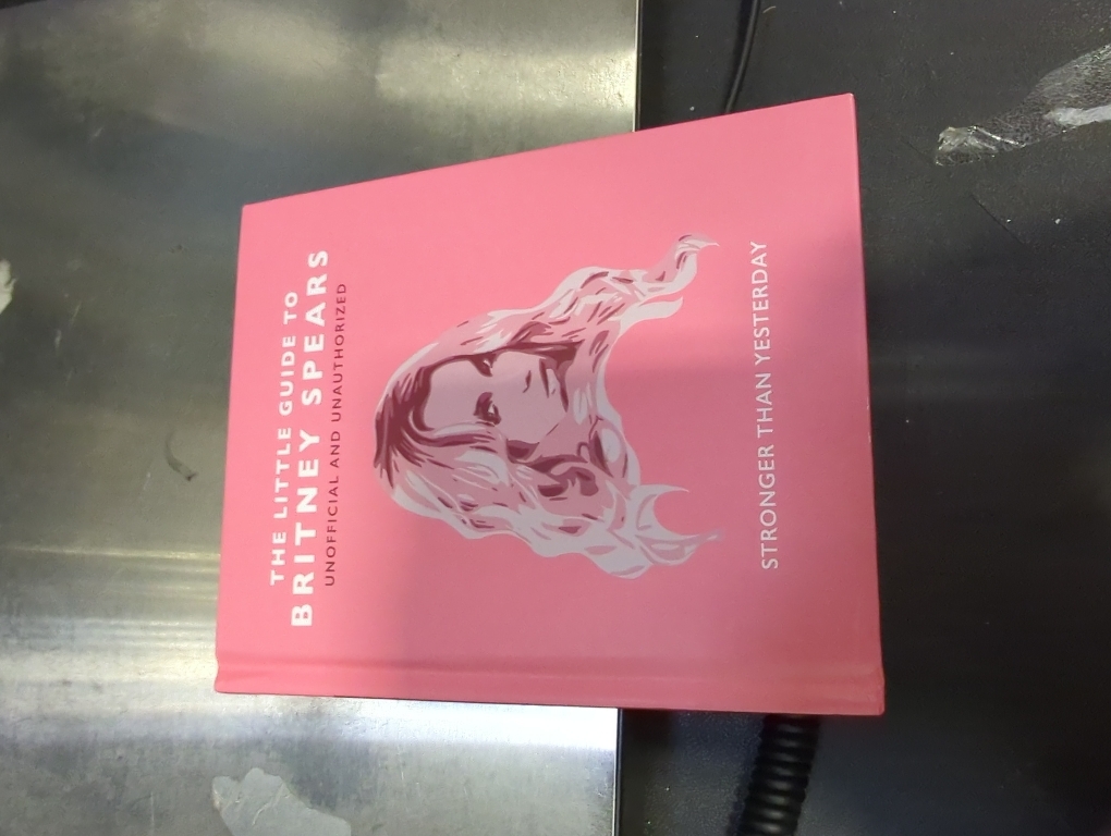 The Little Guide to Britney Spears: Stronger than Yesterday (Little Book)