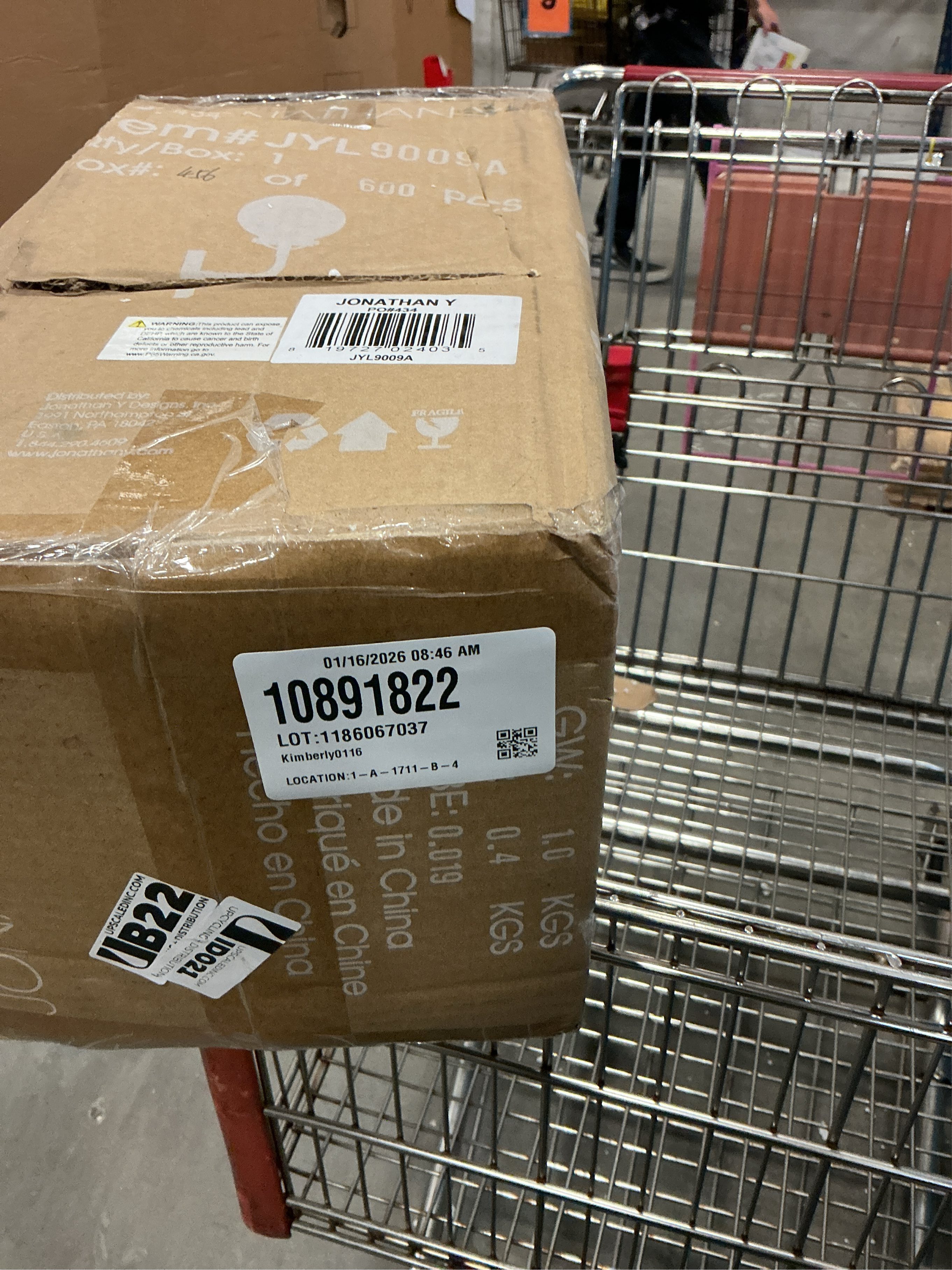 JONATHAN Y Caleb 1-Light 8 Brass Wall Sconce in Black/Brass