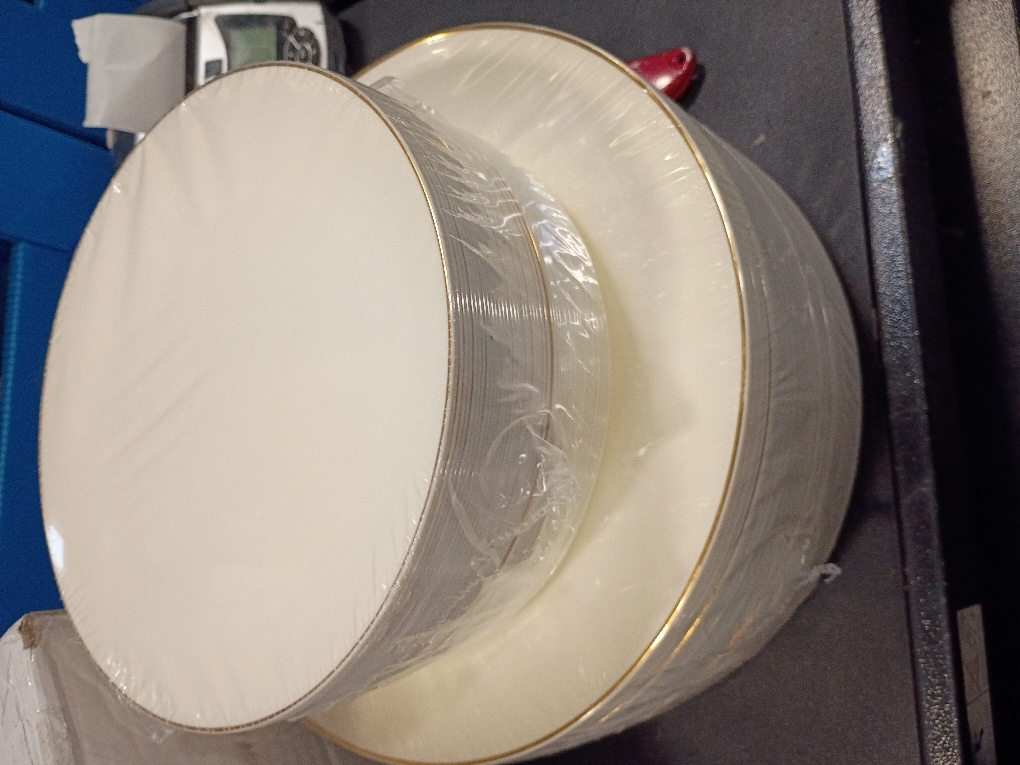 Ivory Plastic Plates with Gold Rim,Nice Disposable plates,Gold Plastic Plates,Ivory Disposable Plates Set include 30 Dinner Plate,30 Dessert Plates