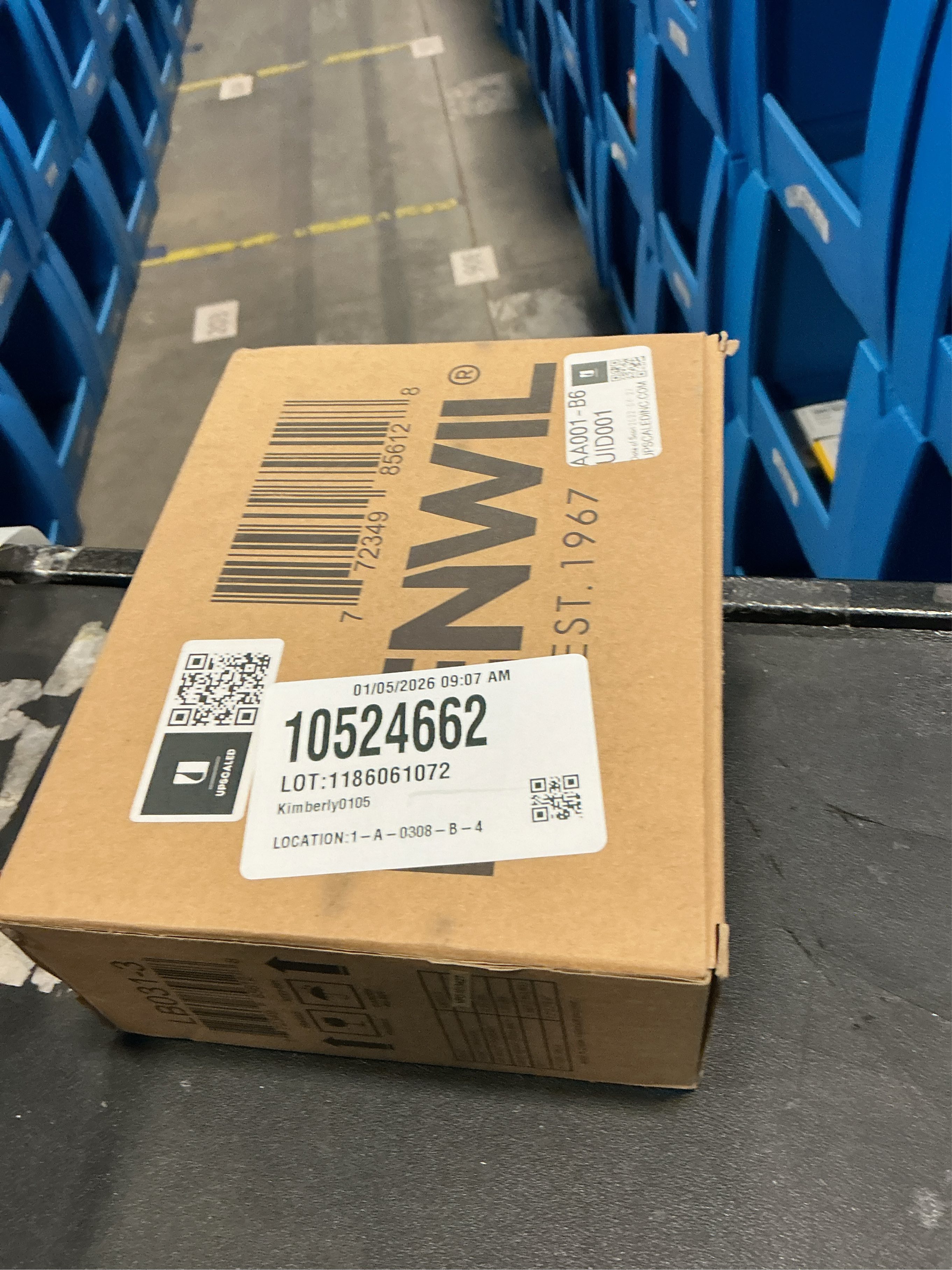 Renwil Timmons 3-Light Modern Glass LED Light Bulb in Clear (Pack of 3)