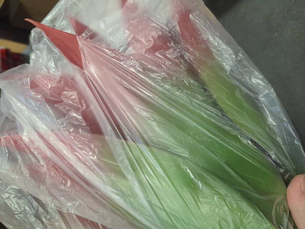 Velener Fall Fake Agave Artificial Plant: Red Fake Succulents Plant for Room Decor and Autumn, Unpotted Faux Agave Plant for Outdoor/Indoor Fall Decor, Red, 28 inches, Set of 1