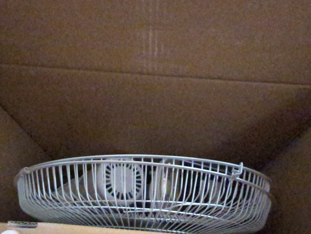 Comfort Zone 16-inch Wall Mount Fan with Remote Control, Quiet 3-Speed Operation, Timer, Adjustable Tilt – Ideal for Bedroom, Home, Gym & Office