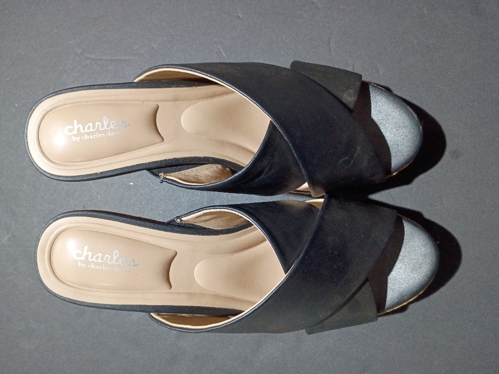 CHARLES BY CHARLES DAVID Women's Latrice (Size 9)