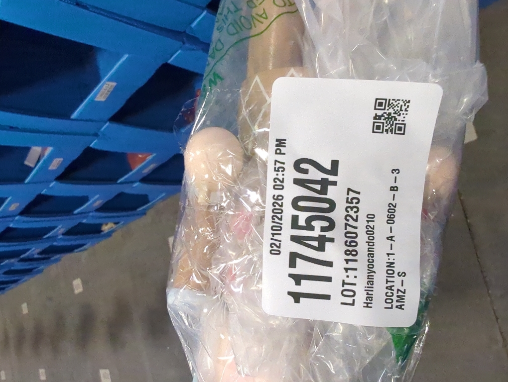 Ornativity Christmas Candyland Gingerbread Nutcracker – Wooden Nutcracker Candy Man with Candy Cane and Gingerbread Cookies in Hand Xmas Themed Holiday Nut Cracker Doll Figure Decorations