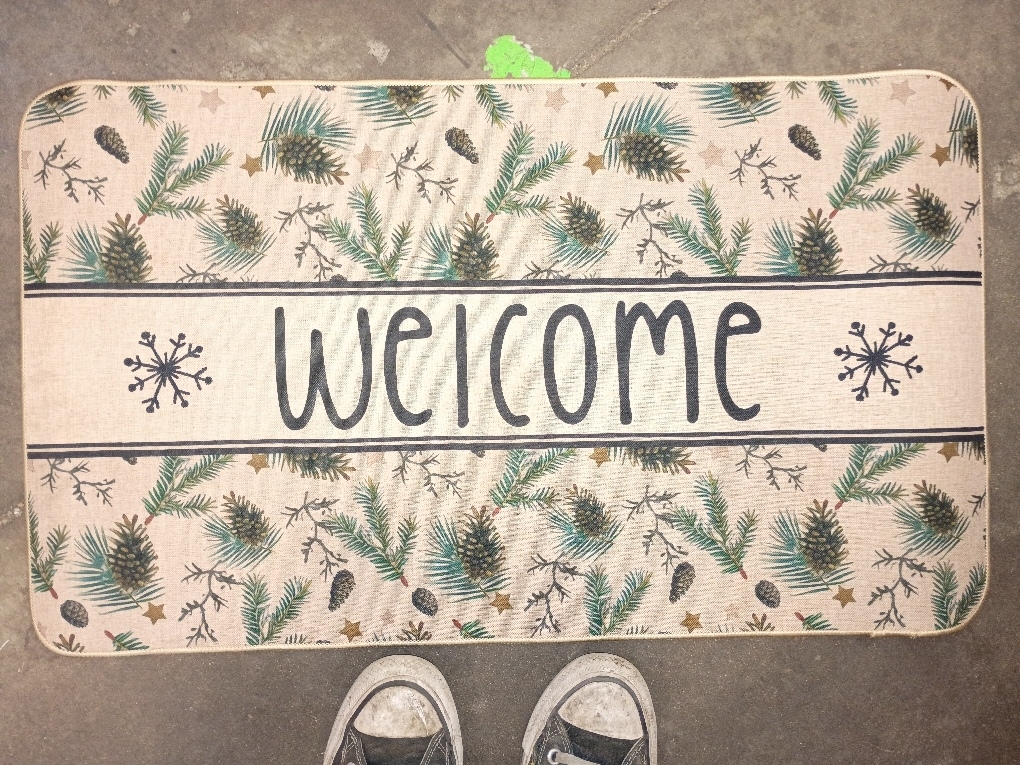 Artoid Mode Xmas Pinecone Star Welcome Christmas Doormat, Winter Low-Profile Switch Rug Home Decor Door Mat Floor Mat for Outdoor Indoor 17x29 Inch
