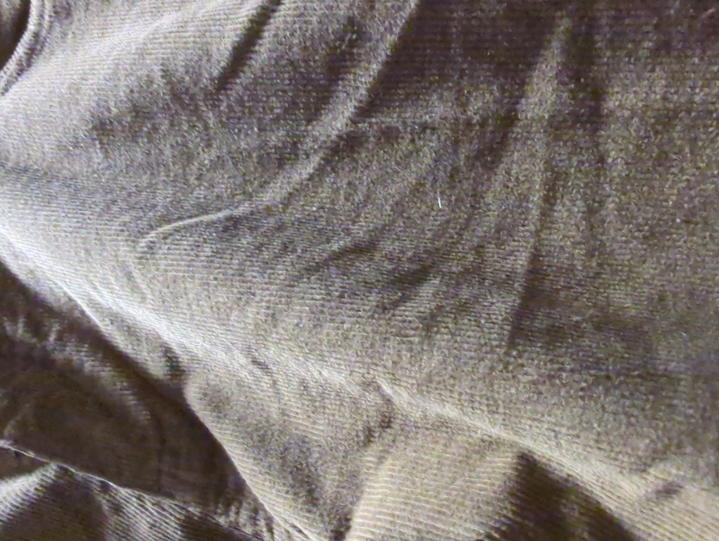 Size 44 LaFaurie men's Corduroy Pant