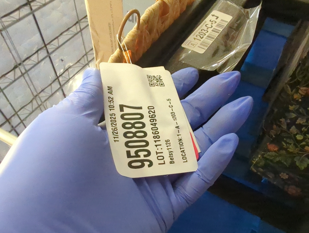 Fall Wreaths for Front Door, Harvest Fall Wreaths Autumn Wreath with Pumpkins, Berries and Leaves for Indoor Outdoor Porch Thanksgiving Farmhouse Harvest Halloween Home Décor (White Pumpkin)