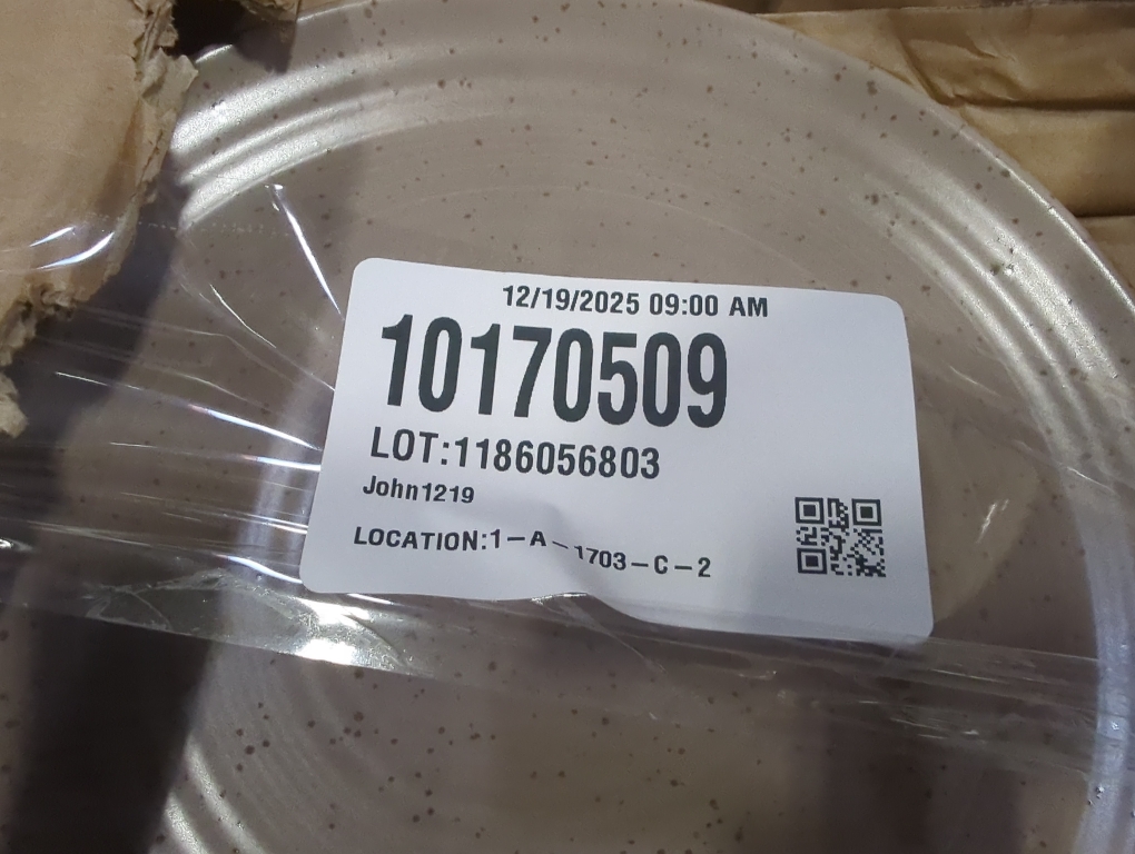 Set of 2 Bee & Willow Milbrook Dinner Plate in Mocha