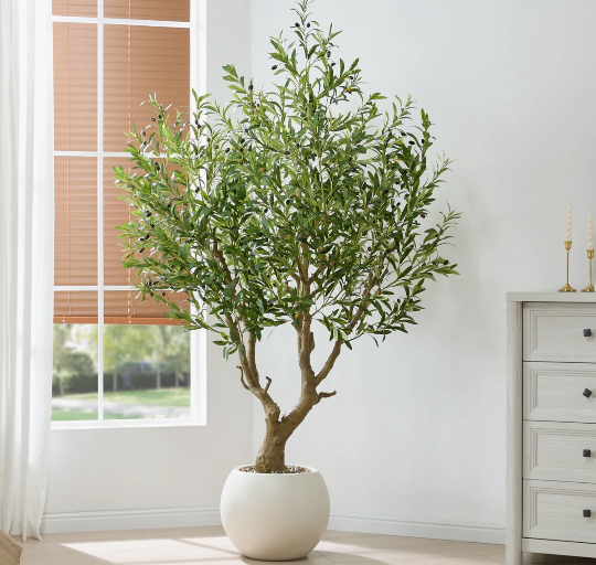 Florafairy 7.5ft Olive Tree with Planter (2 BOXES)