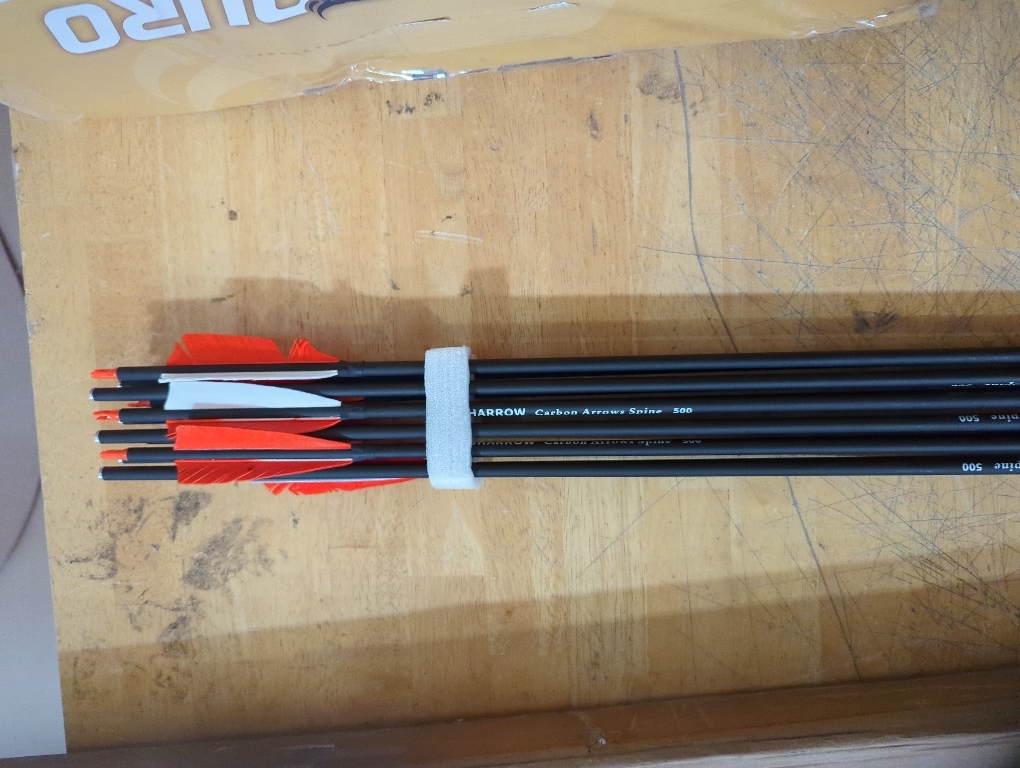 Carbon Arrow Hunting Arrows with 100 Grain Removable Tips for Archery Compound & Recurve & Traditional Bow Practice Shooting (Pack of 12)