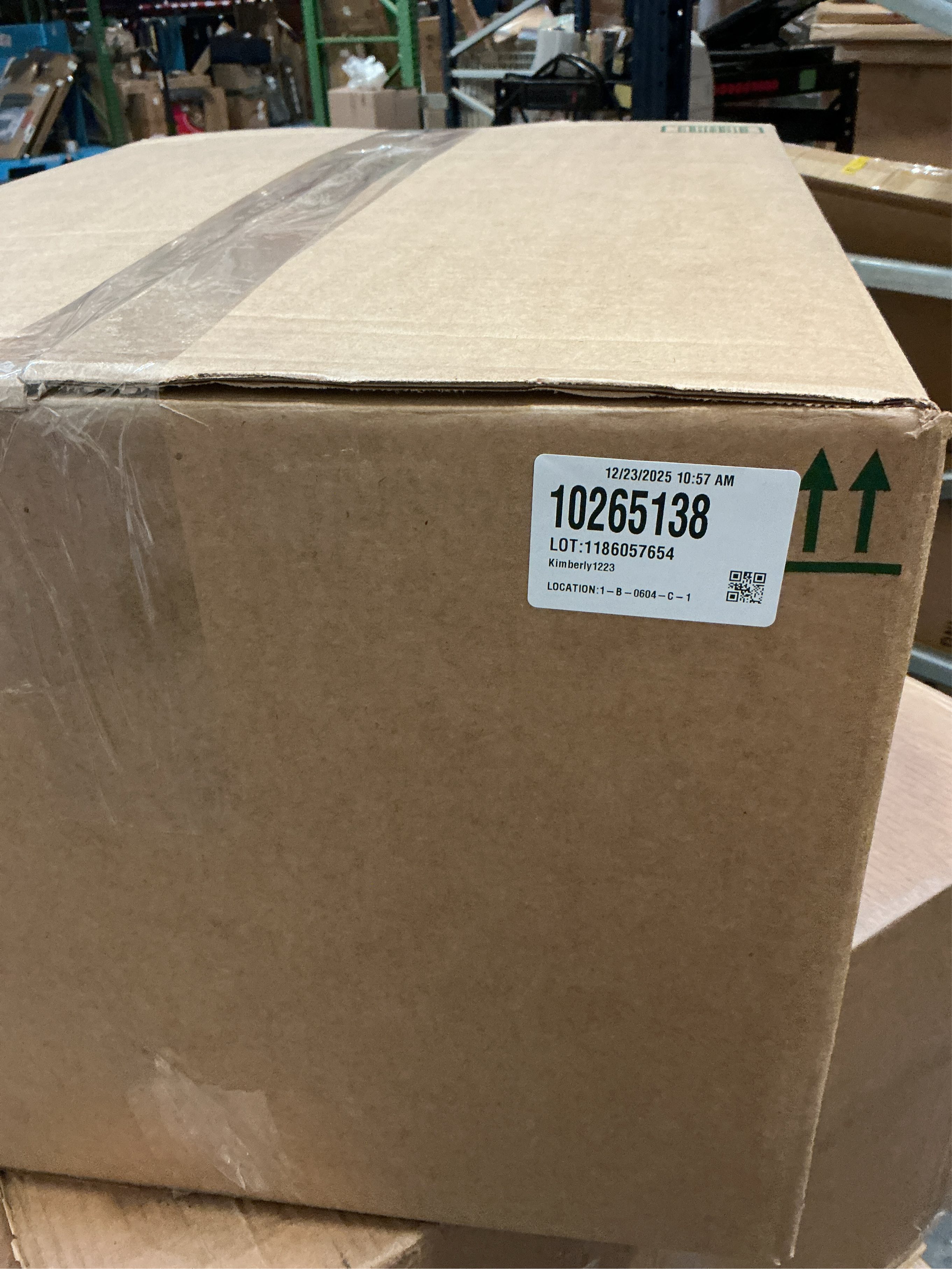 Large Shag Area Rugs 10 x 14, Tie-Dyed Plush Fuzzy Rugs for Living Room, Ultra Soft Fluffy Furry Rug for Bedroom, Anti-Skid Indoor Carpet Nursery Rugs for Kids Room Home Decor, Light Grey