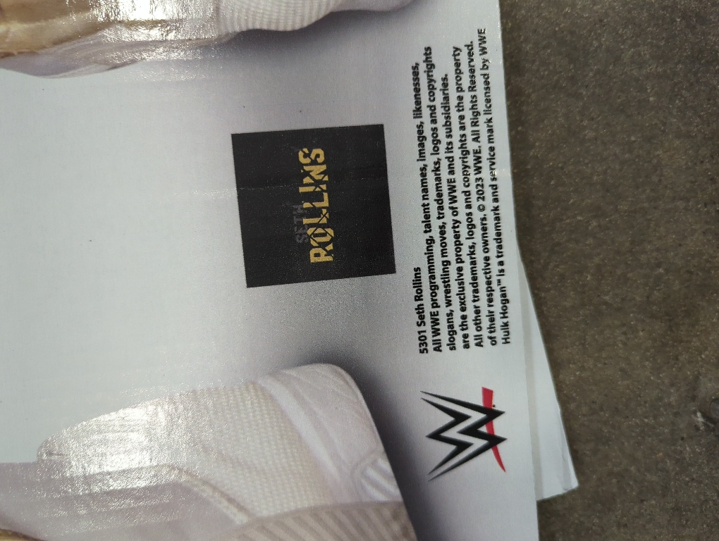 Cardboard People Seth Rollins Life Size Cardboard Cutout Standup - WWE