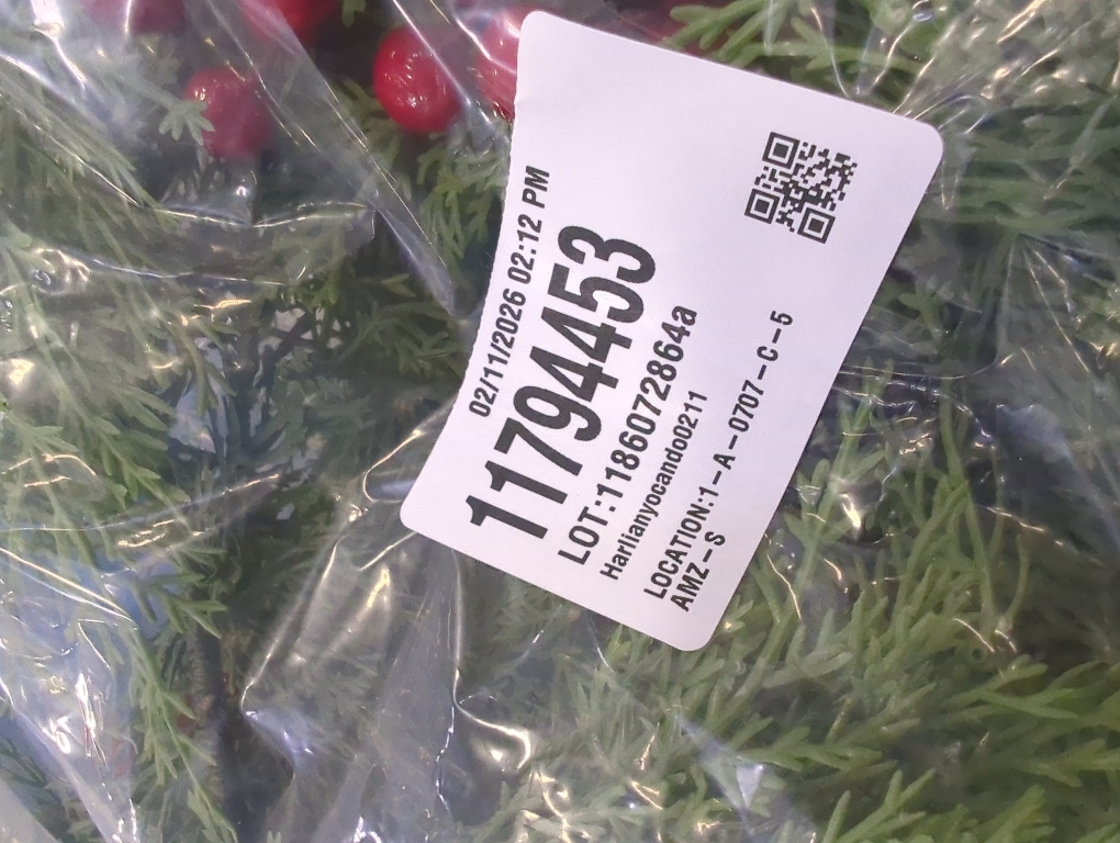 100 Pcs Artificial Pine Needles Christmas Greenery with Red Berry Christmas Floral Picks Artificial Greenery Pine Picks for DIY Garland Wreath Xmas Embellishing Home Garden Decoration