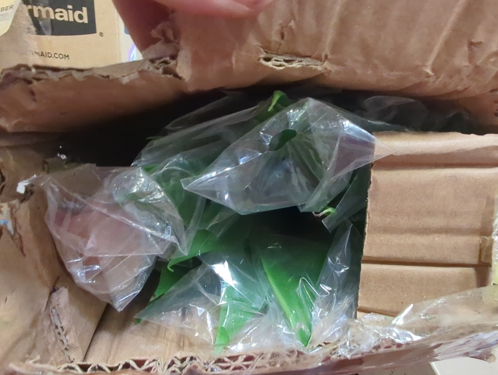 Set of 2 Size 18 Color Green Velener Artificial Agave Plant Set,18 Inch, Faux Aesthetic Plants for Home Decor, Realistic UV Resistant Fake Agave Plants Without Pot, Set of 2