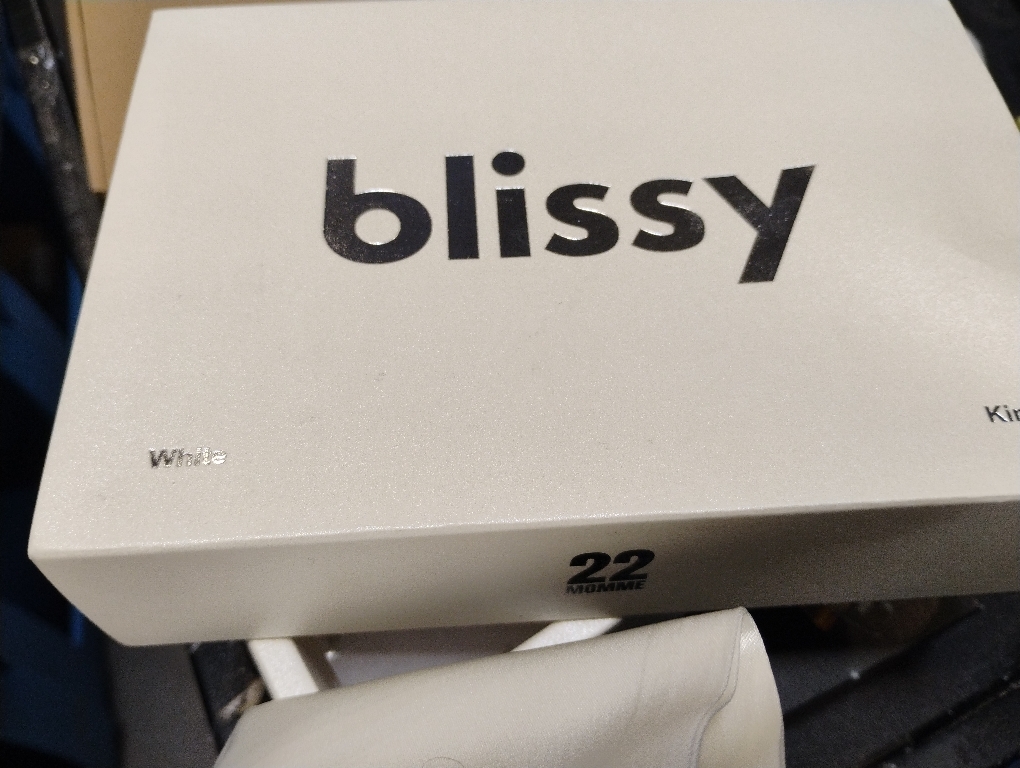 Blissy Silk Pillowcase - 100% Pure Mulberry Silk - 22 Momme 6A High-Grade Fibers - Silk Pillow Cover for Hair & Skin - Regular, Queen & King (Blissy White, Standard)