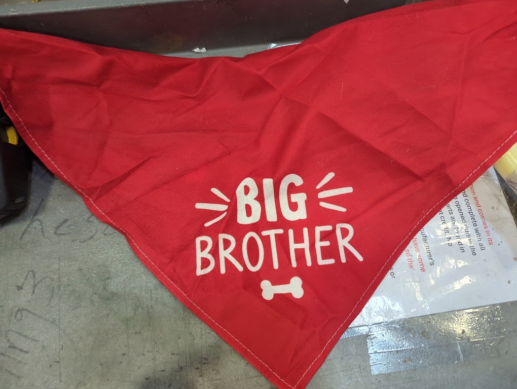 Spoilt Rotten Pets Big Brother Paw Slogan Red S4 Dog ...