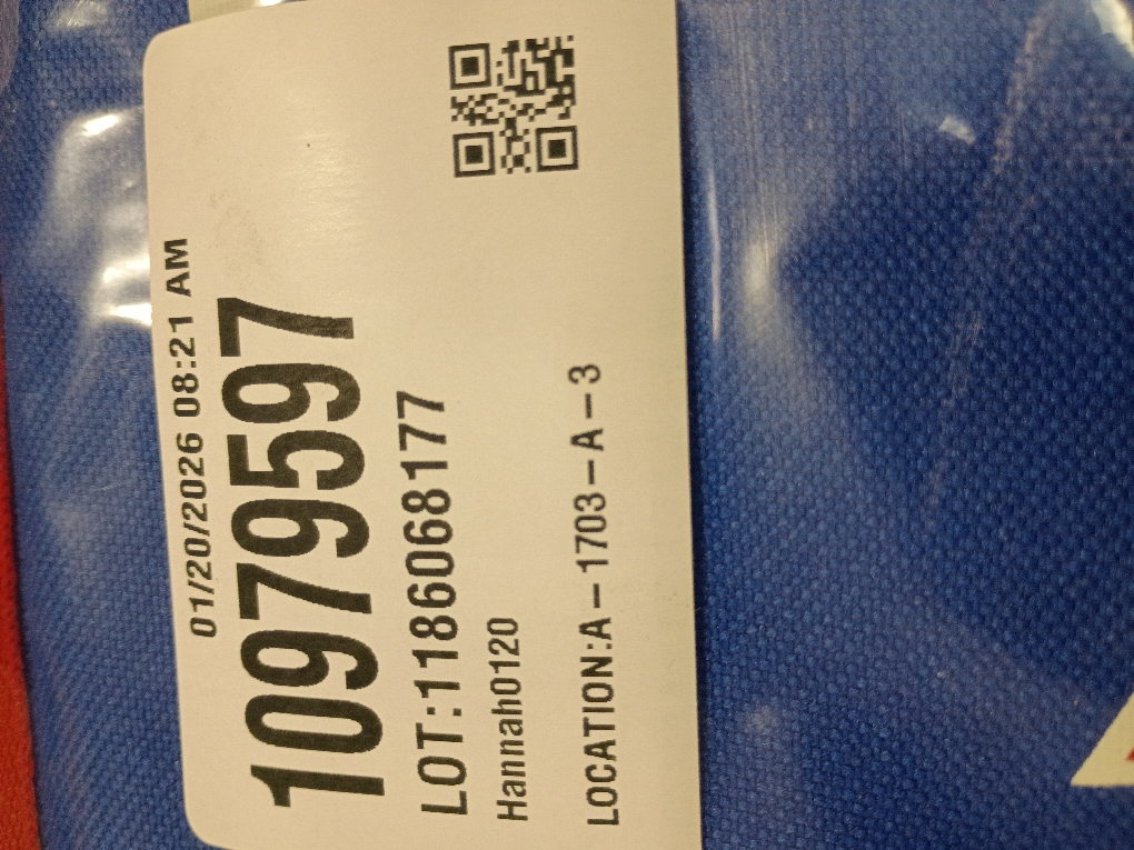 Buffalo Bills Sacked Insulated Lunch Cooler Bag